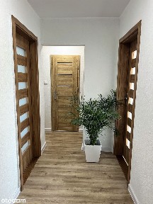 3 pokoje | 53,5 m² | Grunwald | Marcelin, blisko Lasku Marcelińskiego