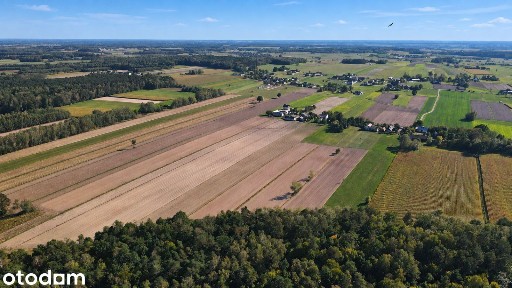 Siedlisko 1,76 ha | dom 163 m² | cisza, przestrzeń i własna ziemia