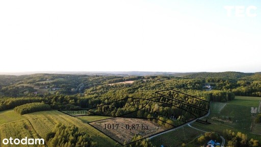 Wyjątkowe siedlisko z własnym lasem - 2,8 ha, Drohobyczka