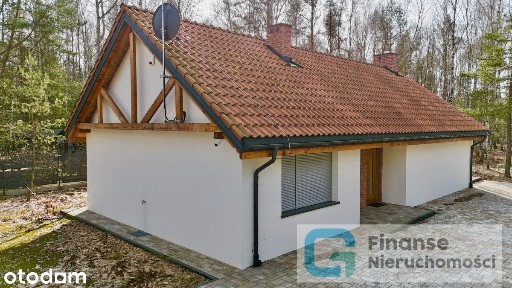 Klimatyczny dom w sercu lasu | Borowiny