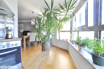 Śródmieście - duży apartament dla rodziny