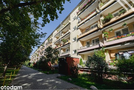 Mieszkanie z potencjałem | 2 pokoje 49 m² | do remontu