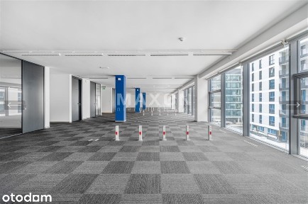 Open-space + salki.