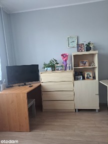 Do wynajęcia kawalerka w centrum Wrocławia