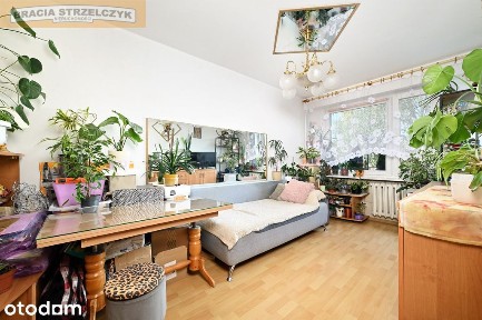 Polecam! Dwa pokoje, rozkładowe, na spokojnym osiedlu!