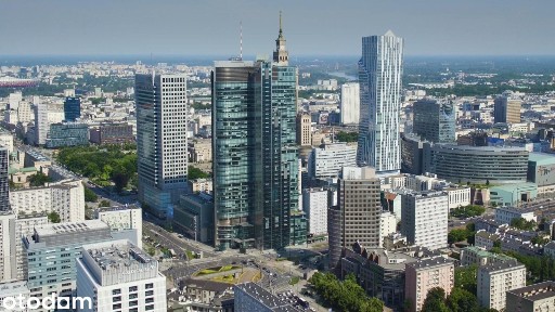 Duże biuro do wynajęcia od czerwca