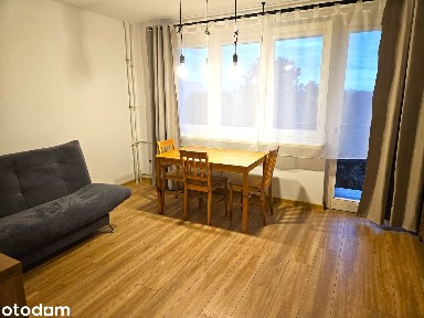 Gotowe dwupokojowe, balkon, zieleń, piwnica, winda