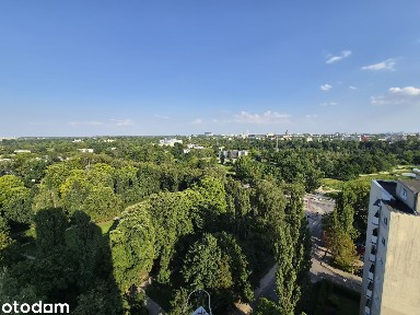 ul. Organizacji 