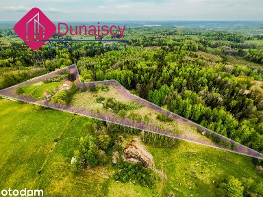 MAZURSKA POSIADŁOŚĆ - 2 DOMY - PONAD 4 HA ZIEMI WOKÓŁ, PRYWATNY LAS
