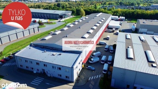Hala Magazyn Logistyka 100 bram Rybitwy 5000 m2