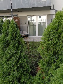 Malta | 2 pokoje z OGRÓDKIEM, i komórką |okatorska. Garaż. Bezpośrednio przy Malcie i Szpitalu | 2 pokoje z OGRÓDKIEM, i komórką |okatorska.