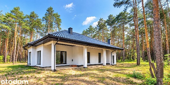 Dom 253 m² z antresolą | 2 garaże | 1600 m² działki | Żarki-Letnisko