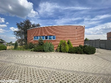 ul. Kolonia, Strzyżew, Sieroszewice, ostrowski, wielkopolskie