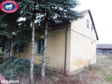 Stary Łajszczew, Puszcza Mariańska, żyrardowski, mazowieckie