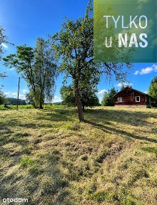 Siedlisko 1,73 ha z rzeką | Rogawka k. Siemiatycz