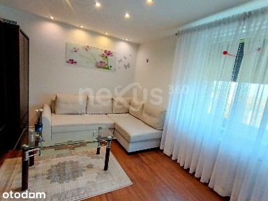 40 m² | 2 pokoje | parter | ogródek | garaż | piwnica | bezczynszowe