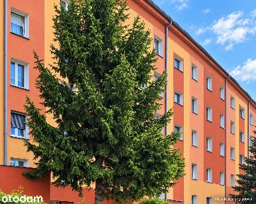 TOP Luksusowa Lokalizacja Duży Balkon Piwnica Garaż Stylowe Komfortowe