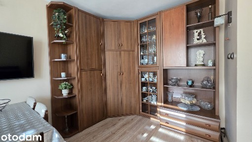 3 pokoje | 48,9 m² | II piętro | balkon | widok na zieleń