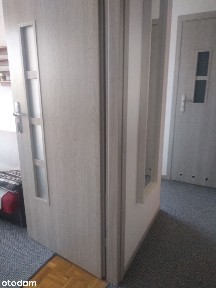Do wynajęcia mieszkanie