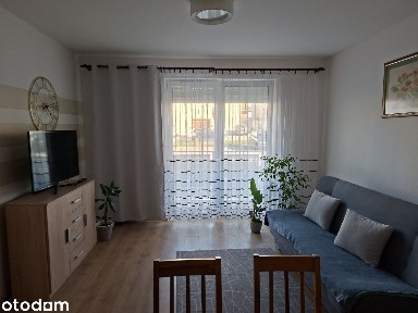 Mieszkanie do wynajęcia na parterze