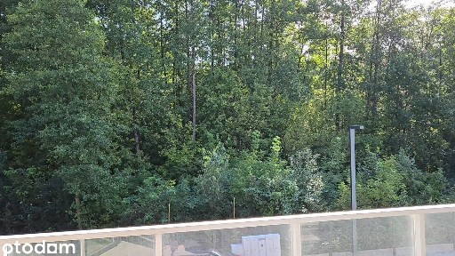 WIDOK BEZPOŚREDNI NA PARK /Taras + balkon /Ostatnie 3 piętro/ NOWOŚĆ/