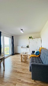 Duża kawalerka do wynajęcia, Gdańsk Jasień, balkon, nowe budownictwo
