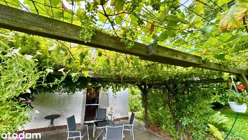 Dom 270 m² i działka 13 452 m² - Wyszogóra