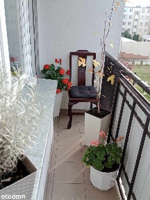 SPRZEDAM MIESZKANIE 47M, 1 PĘTRO, 2 POKOJE
