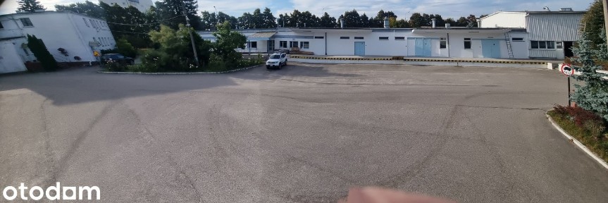 Hala na wynajem z rampą i parkingiem