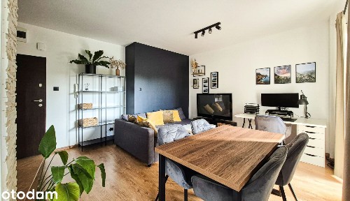 Komfortowe mieszkanie 46,5 m² na wynajem | 2 pokoje | ul. Pienista