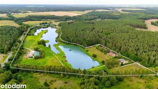 16 Hektarów. Własna Woda. LAS. Zero Sąsiadów.