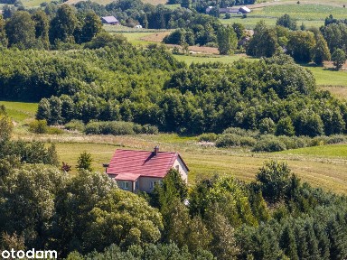 Dom w otoczeniu natury z dostępem do wody