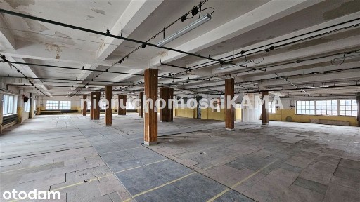 Hala/Magazyn, 758 m², winda, Bielsko-Biała