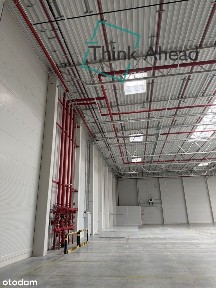 Wrocław | Hala magazynowa 4 200 m² | A4/A8 | Biura na życzenie