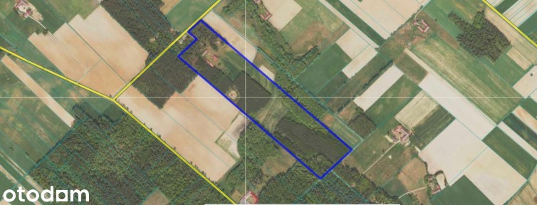 Siedlisko otoczone lasem z dużą działką niedaleko Biebrzańskiego PN
