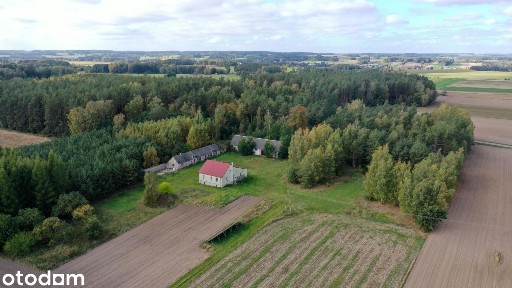 Siedlisko otoczone lasem Kubra-Przebudówka niedaleko Biebrzańskiego PN