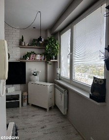 Mieszkanie 1-pokojowe z balkonem i piwnicą