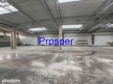 produkcja brama 0/ rampa wys. 7m