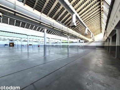 Hala/Magazyn, 1 366,21 m², Łódź