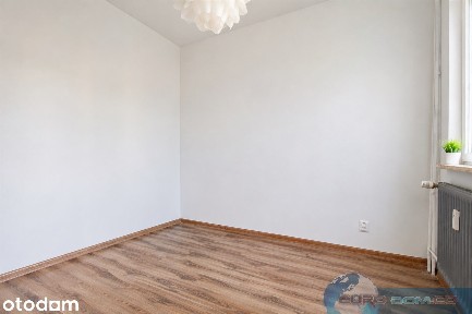 2-pokojowe mieszkanie 43,1 m² z piwnicą | Dolna Wilda