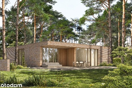 Architektura i Las. Strzeniówka