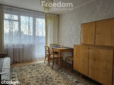 3 pokoje 47,8 m² z widokiem w Międzyrzeczu