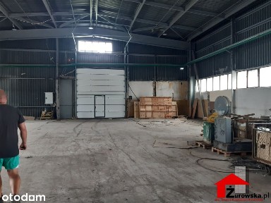 Hala/Magazyn, 1 000 m², Zawiercie