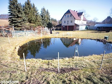 Dom, 350 m², Podgórki