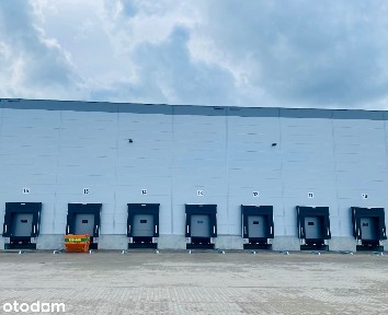 Nowoczesny magazyn Poznań 6500 m2 |Bez prowizji