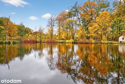 Miłogoszcz, Resko, łobeski, zachodniopomorskie