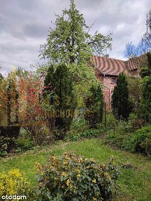 Witoszyn, Wymiarki, żagański, lubuskie
