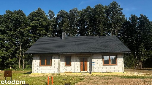 Dom wolnostojący z użytkowym strychem i lasem