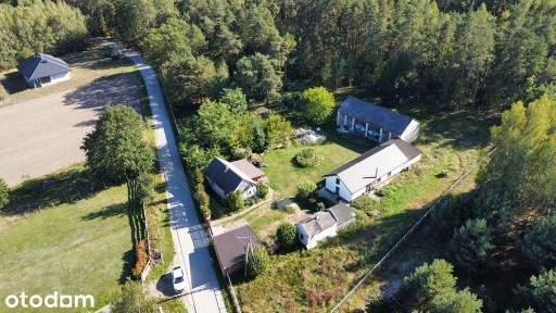 Siedlisko 1,1 ha (dwa domy) przy lesie - Siekierka Nowa gm. Chotcza.
