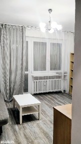 2 pokoje | 50 m² | Śródmieście | wysoki parter